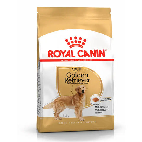 Adult Golden Retriever 12 kg