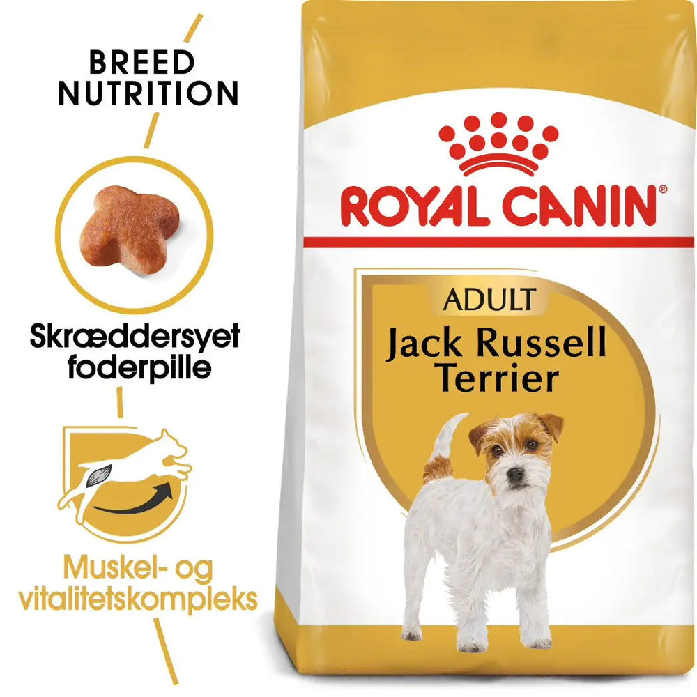 Adult Jack Russel 1,5 kg