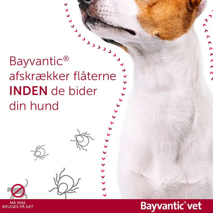BAYVANTIC VET Flåt- & loppemiddel hund 25-40 kg - 4x4,0 ml