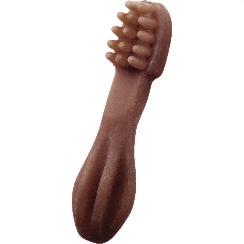 Tyggeben tandbørste medium 11,4 cm WHIMZEES