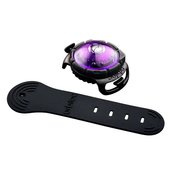 Dog Dual Lygte 48x30x24 mm lilla