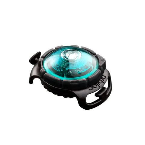 Dog Dual Lygte 48x30x24 mm turkis