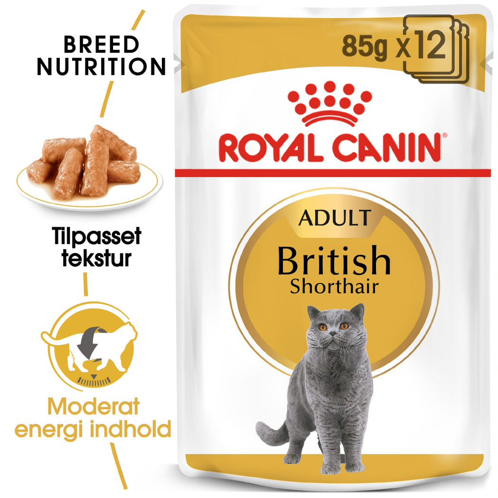 Adult Paté, menuboks pouch British Shorthair 12x85 g