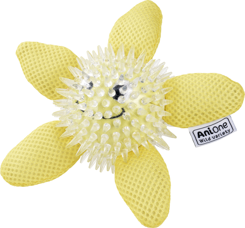 Vandlegetøj søstjerne 15 cm